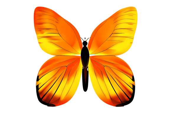Download Gold Butterfly - Premium Resources