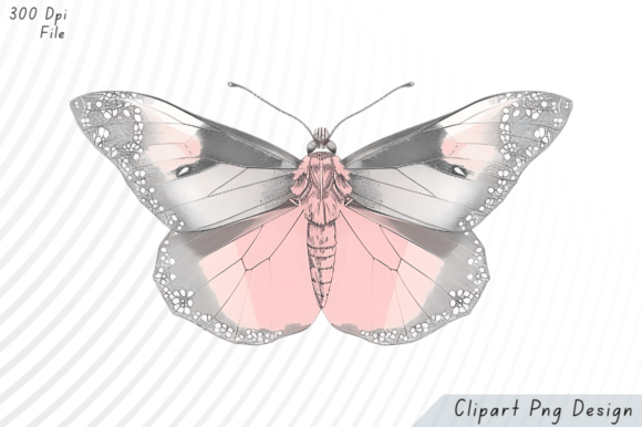 Download Elegant Pink &amp; Silver Butterfly PNG Clip - Premium Resources